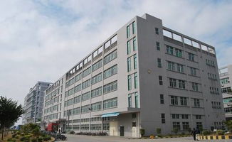 鳳岡泰川麻將機10周年慶，特價988元，驚喜大獎等你來抽！